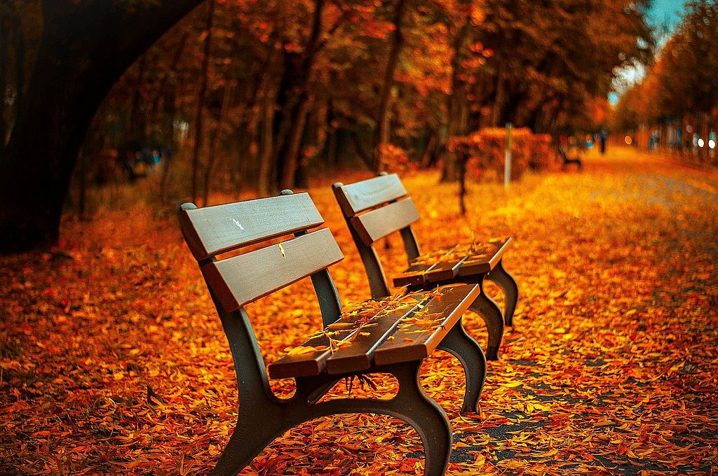 Landschaftsbild Sitzbank Herbst - Pixabay free