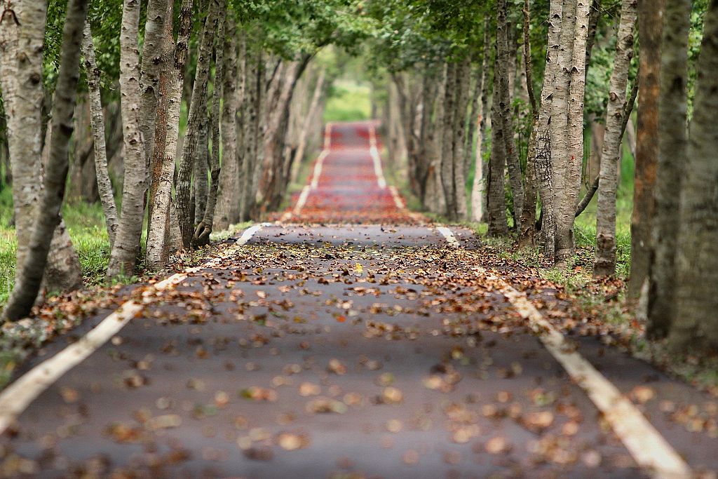 Landschaftsbild Straße - Pixabay free